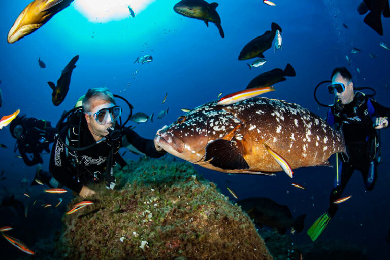 Mediterranean Diving, Santa Teresa di Galllura