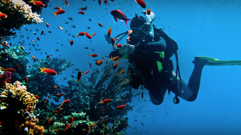 Diving sites in Sardinia.