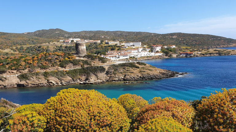 Fishing and the environment, at Asinara the participatory project of the University of Sassari