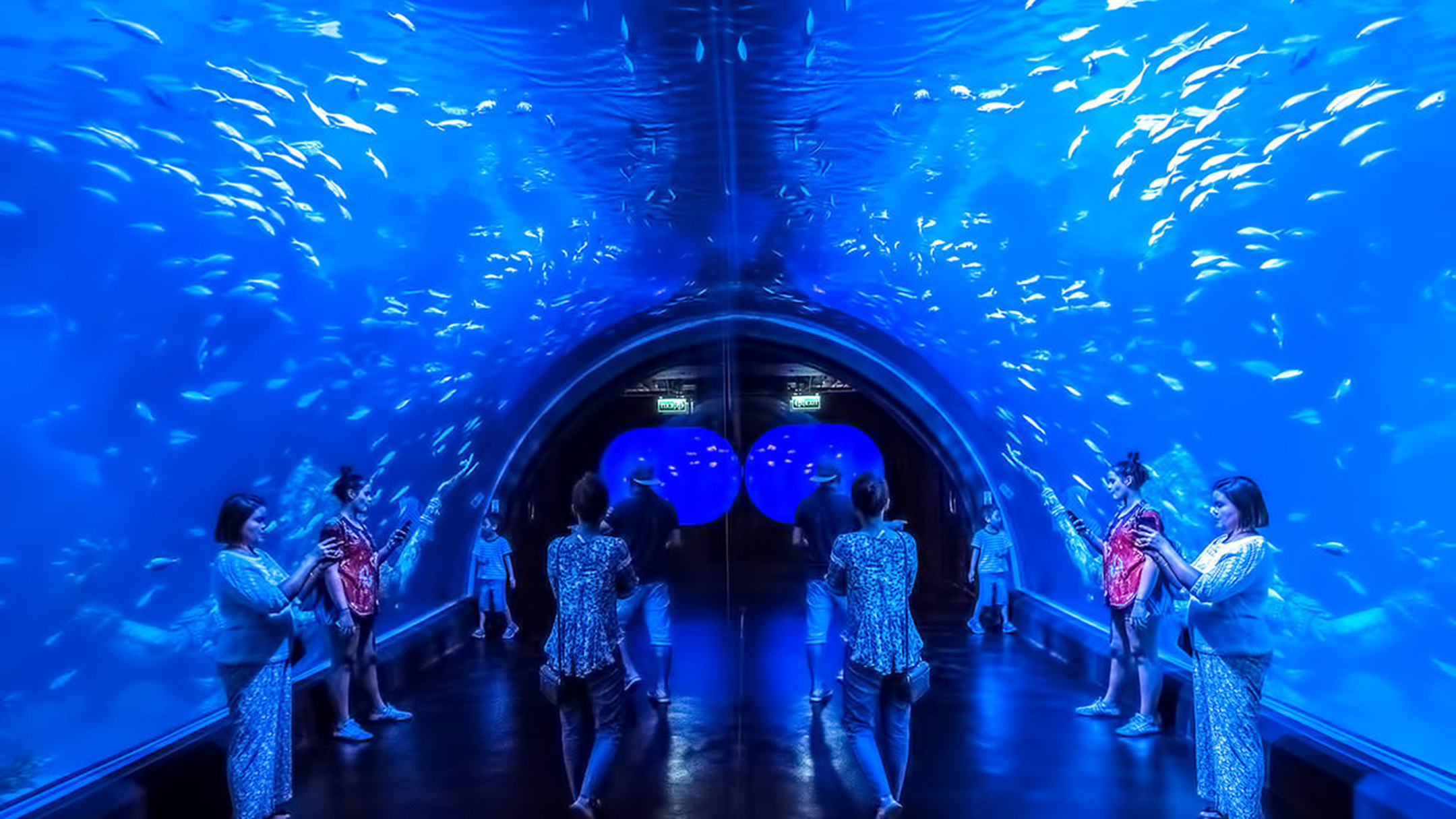 Океанариум пхукет. Океанариум Пхукета. Океанариум Aquarium Phuket. Аквариум на Пхукете / Phuket Aquarium. Океанариум Пхукет Central Floresta.