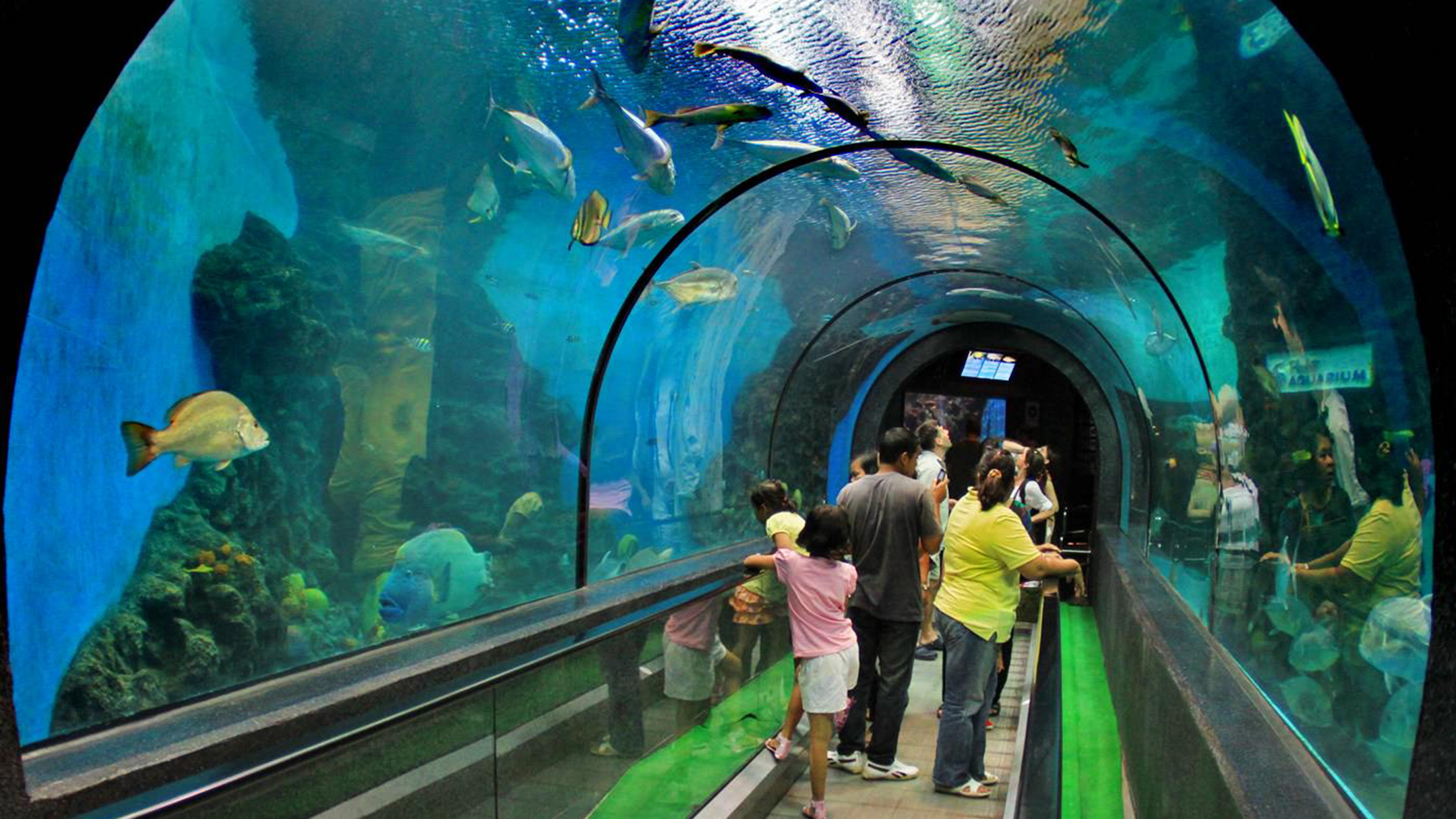 московский зоопарк океанариум