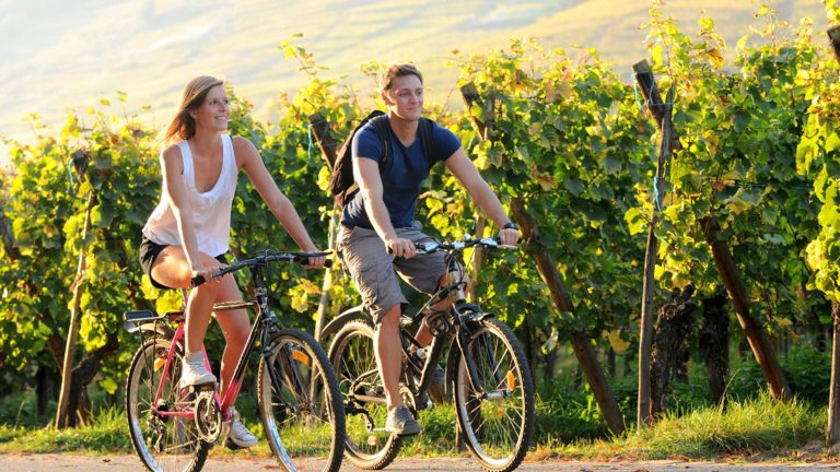 Bike routes combined with wine tourism