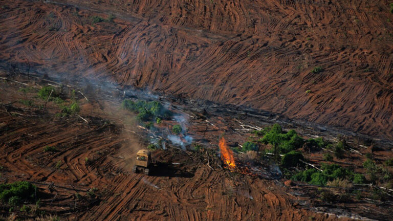 How deforestation is pushing the Amazon to a climate tipping point