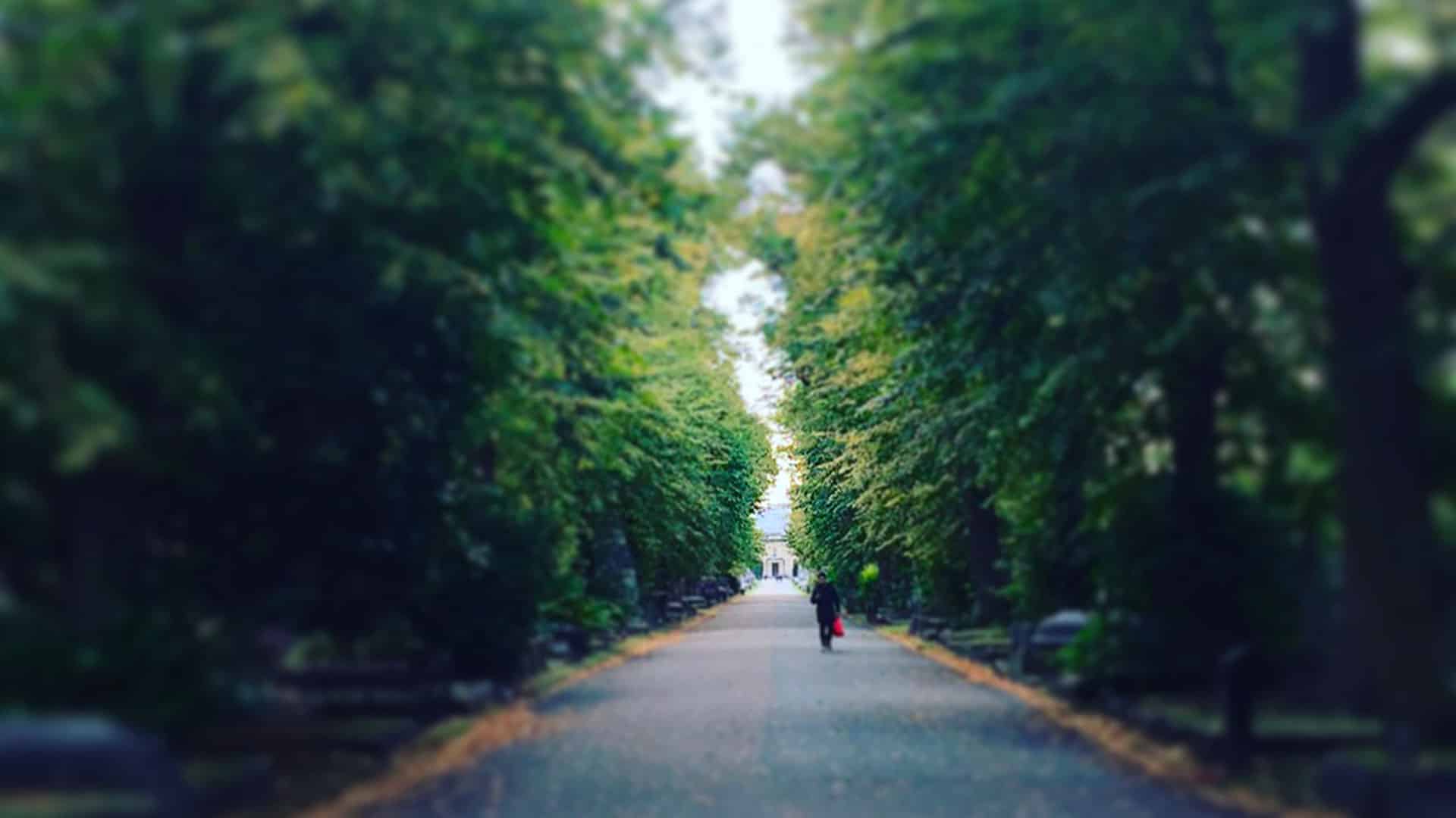 Brompton Cemetery